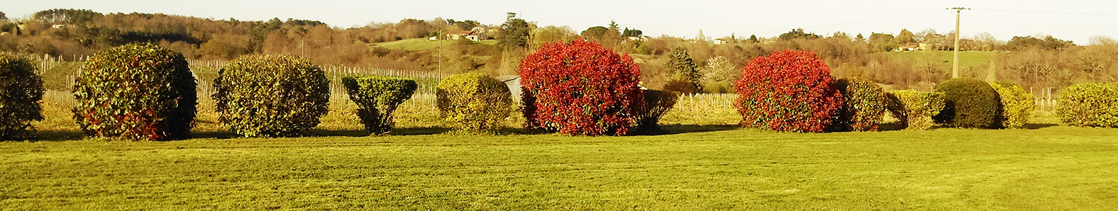 Mon Jardin - Ma Maison
