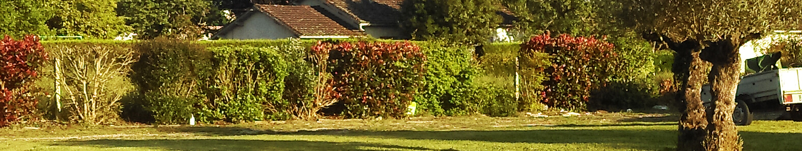 Mon Jardin - Ma Maison
